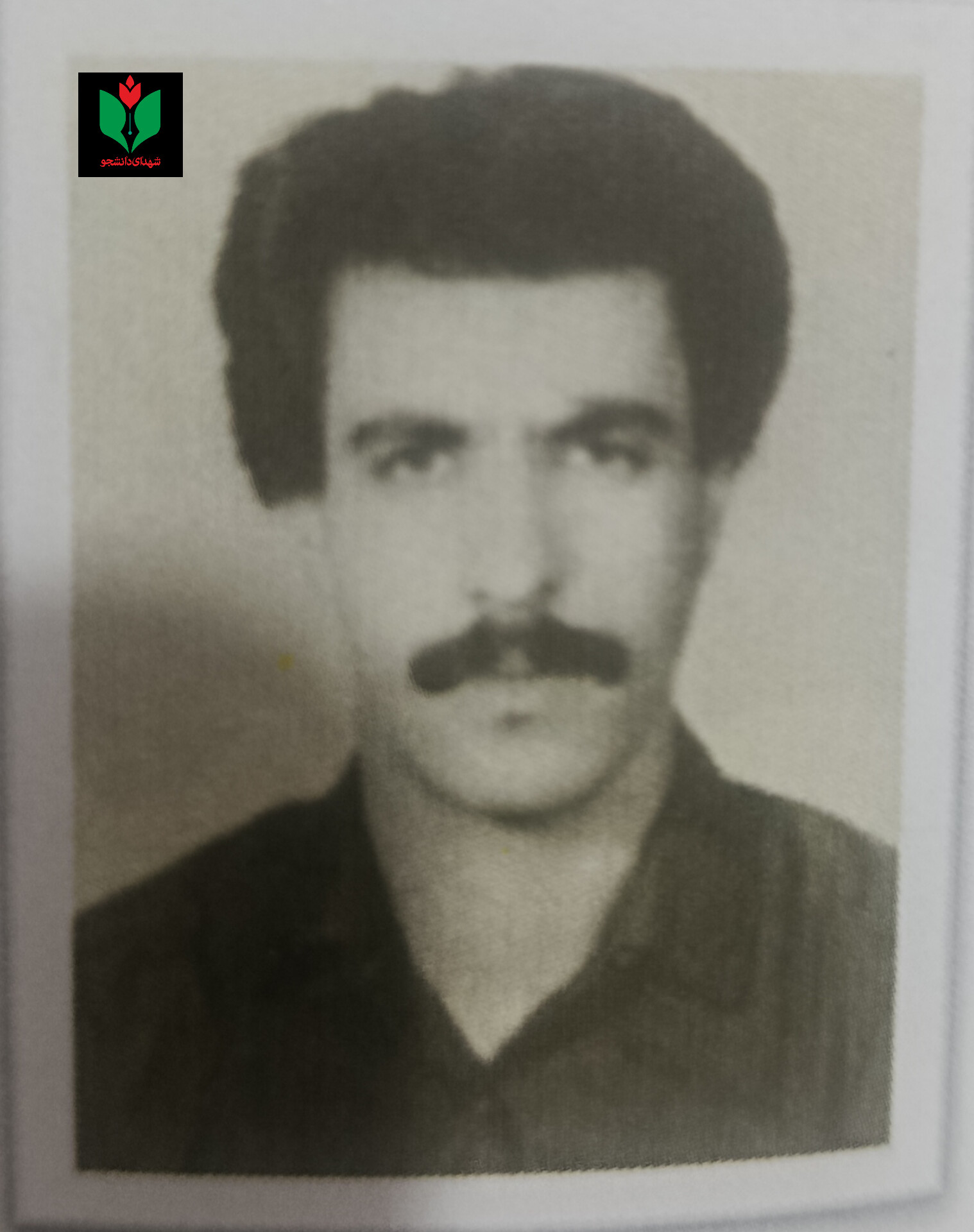 قاسم نجات