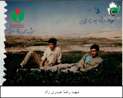 رضا حیدری زاد