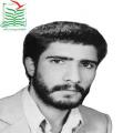 محمد آرای