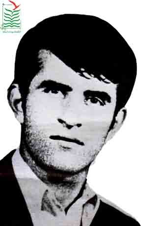 حمید اسماعیلی سوادکوهی