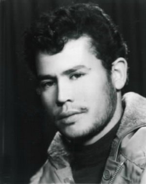 التفات محمودی