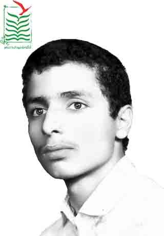 محمد جواد شمسی