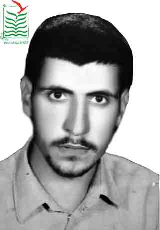 محمود برزگری فیروز آبادی