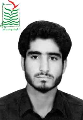 میرزامحمد برزگری بافقی