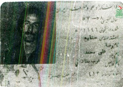 رضا عرب بنادکی