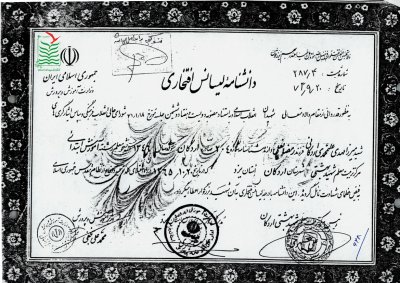 میرزا مهدی علی محمدی