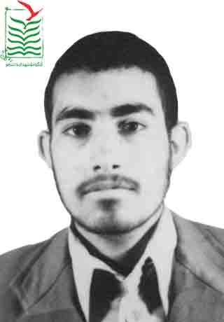 سید محمد صافی