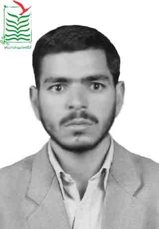 محمدحسین سلمانی شور غین