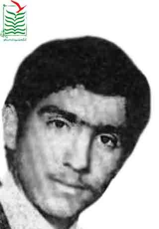 سیدمهدی فروهر