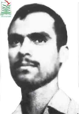 عبدالرضا فرهانی جزیره