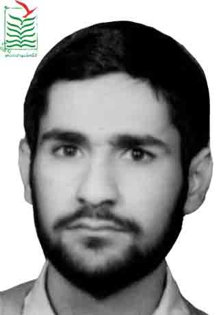 سیدمهدی حیاتی رکنی