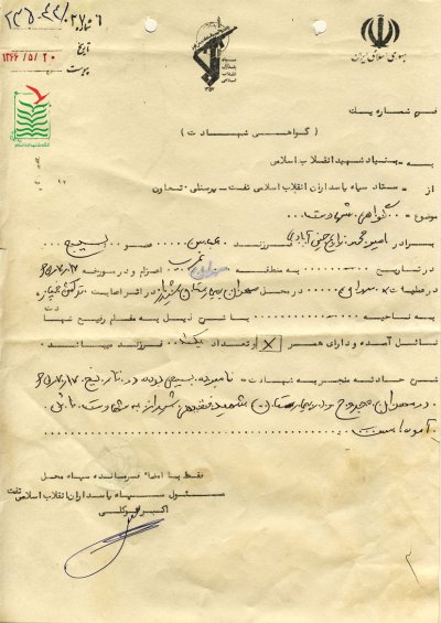 امیرمحمد زارع حسین آبادی