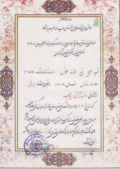 علی محمد رفیع