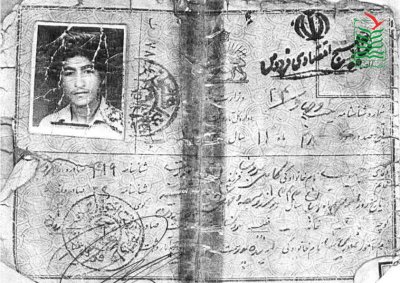 حبیب کامل برون