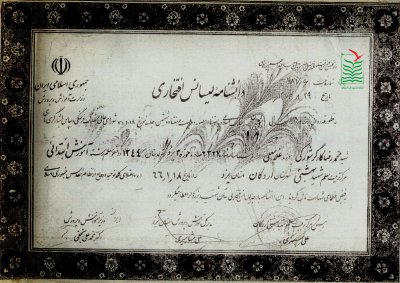 محمدرضا کارگر شورکی