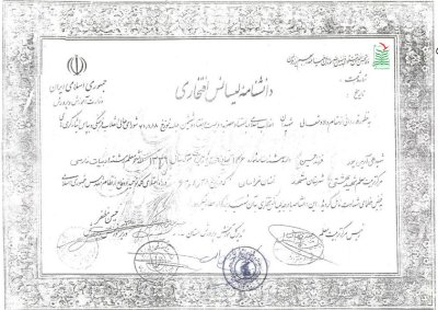 علی آرین پور