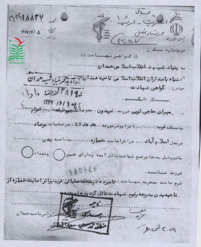 مهران حاجی لوئی