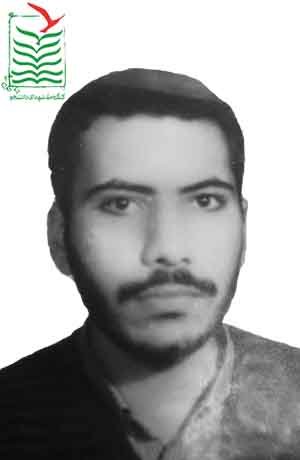 محمد زارعین