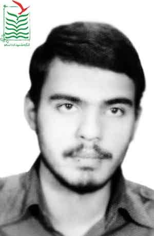 سید محسن صانعی مهری