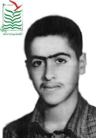 سیدامین صدرنژاد