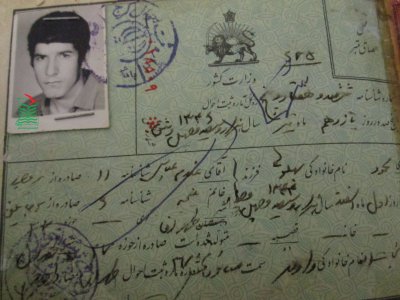 محمود بهلولی