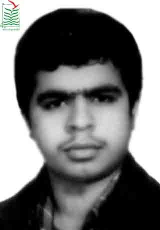 هادی بناء رضوی