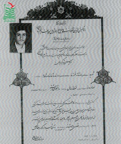 مصطفی گل قندشتی