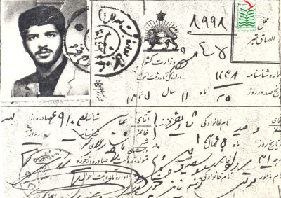 وحید شادیفر