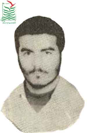 تیمور شریفی