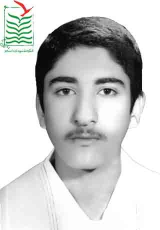 سیدهادی احباء