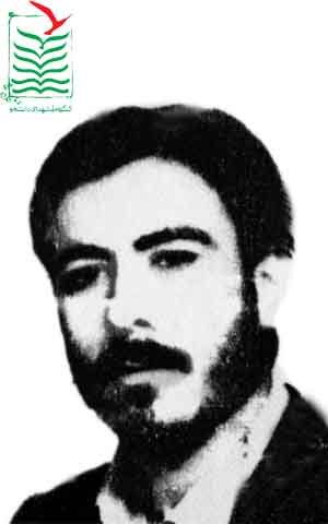 شاهین نادری توابع