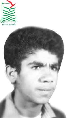 علی قاسم زاده