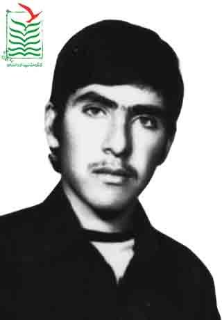 فریبرز ترابی