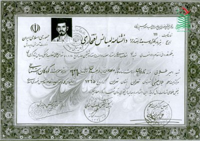 امیر طلایی