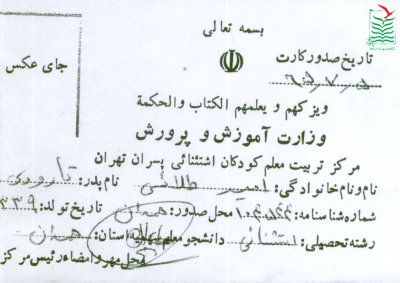امیر طلایی