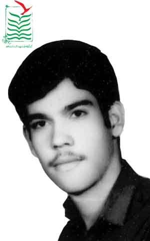 محمدرضا رفعت جو