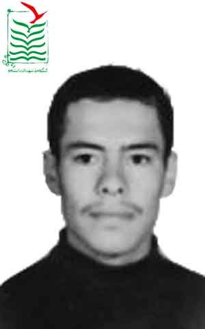 جعفر آرتیمانی