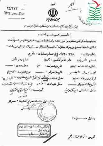 محمدرضا احمدی