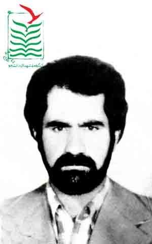 محمدرضا بابایی پور لنگرودی