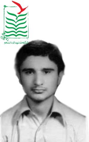 مهرداد حمزه رفعتی