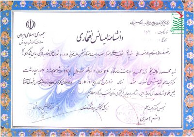 محمود فالیزکار