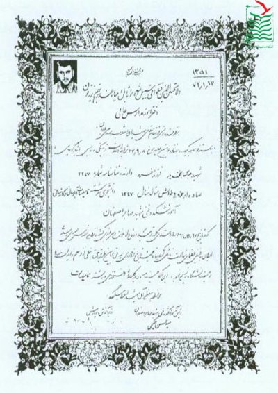 عباس نجف یار