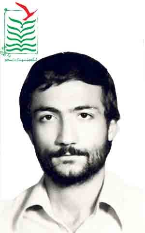 مهدی رجب بیگی