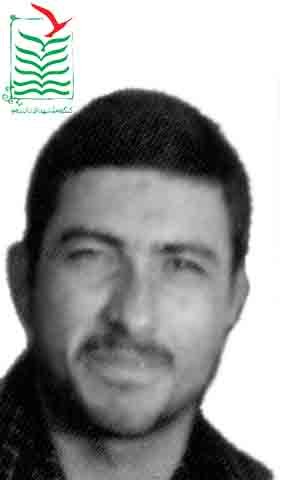 سیدمحمد طباطبایی