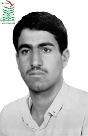 حسین امینی هرندی