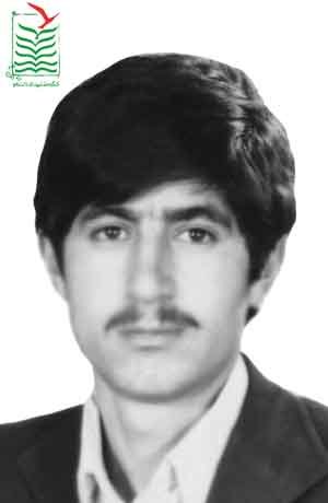 اکبر هادی پور