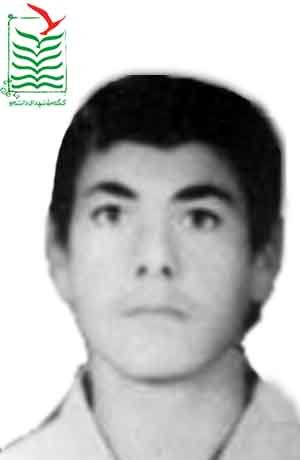 ابوالفتح حسنی