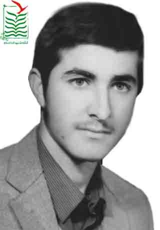 سیدمحمدرضا طیبی