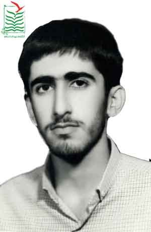 سیدمجتبی طباطبایی نیم آور