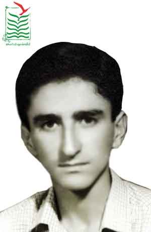 سیدمجتبی رضوی دهقی